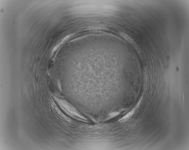 X0000053050985200507251418