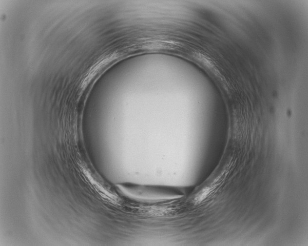 X0000053050986200507251418