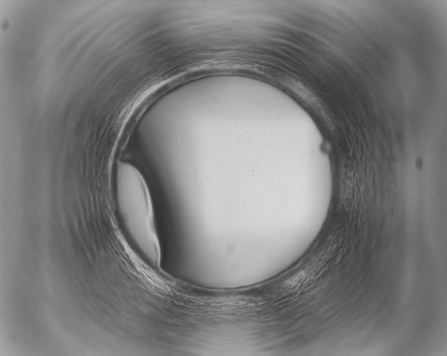 X0000053050988200507251418