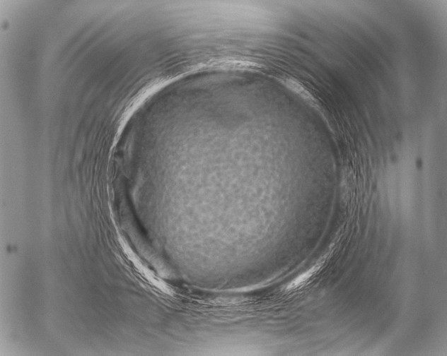 X0000053050989200507251418