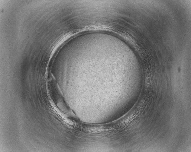 X0000053050990200507251418