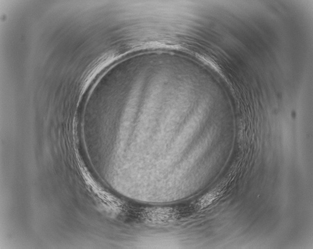 X0000053050991200507251418