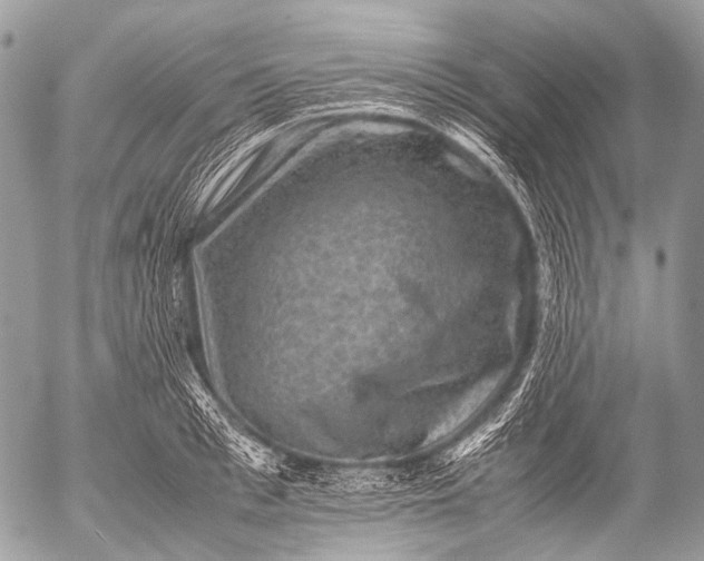 X0000053050993200507251418