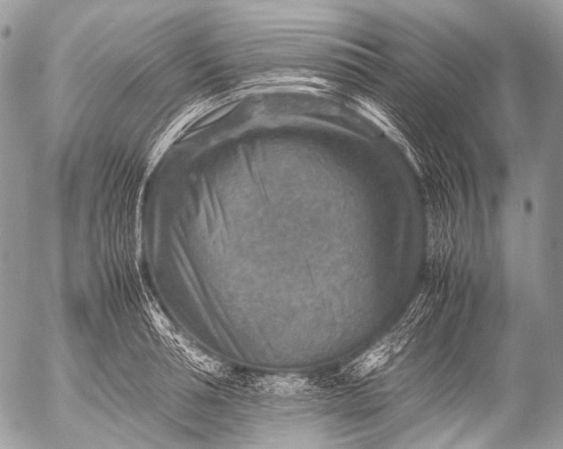 X0000053050994200507251418