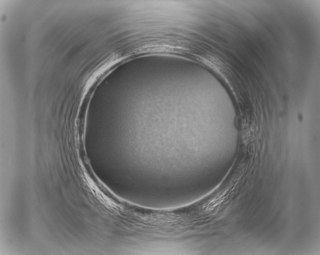 X0000053050995200507251418