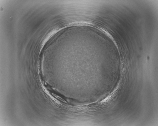 X0000053050997200507251418