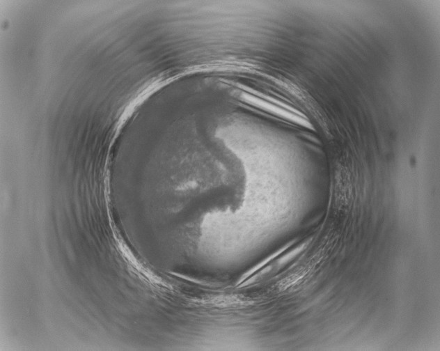 X0000053050998200507251418