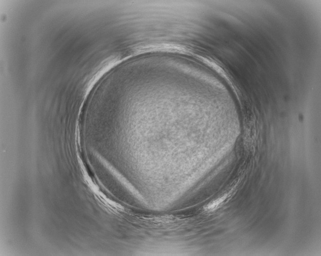 X0000053050999200507251418