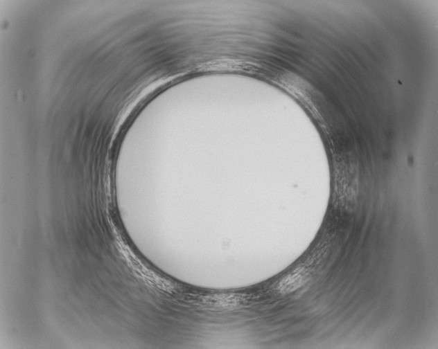 X0000053051000200507251418