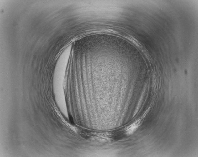 X0000053051001200507251418