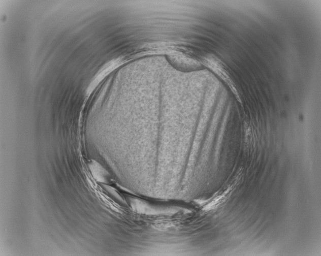 X0000053051002200507251418