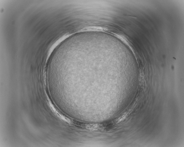 X0000053051003200507251418