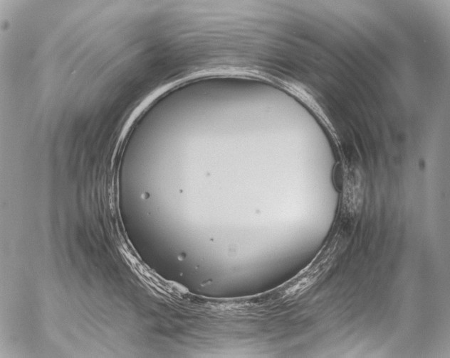 X0000053051004200507251418