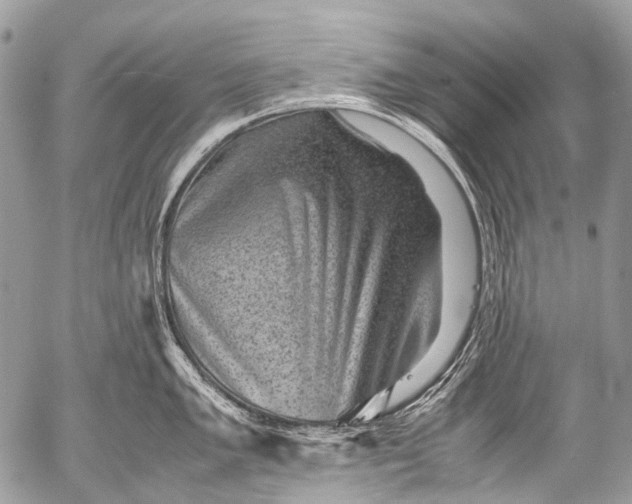 X0000053051005200507251418