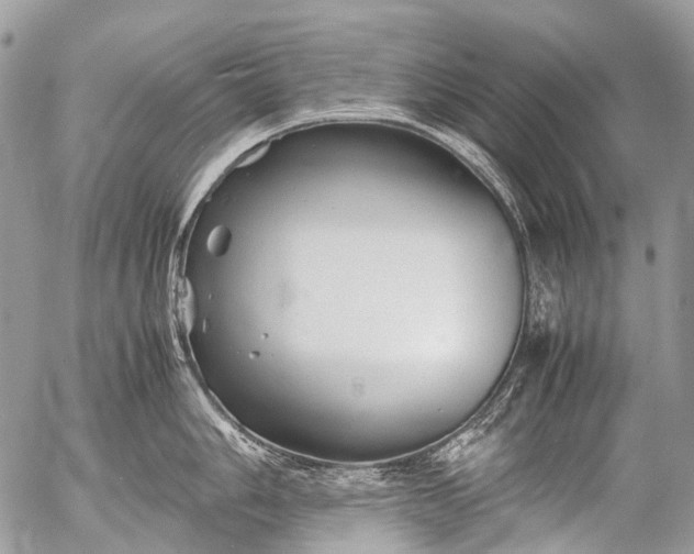 X0000053051006200507251418