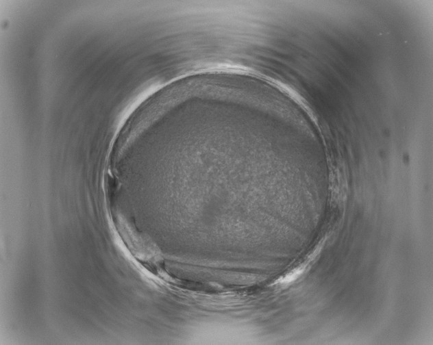 X0000053051007200507251418