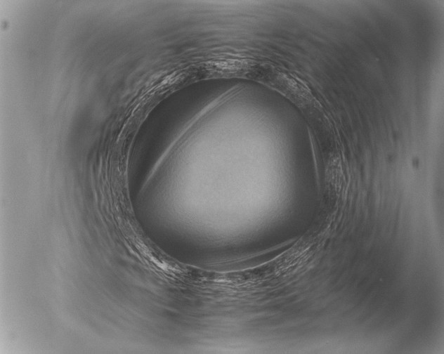 X0000053051009200507251417