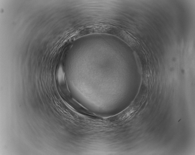 X0000053051010200507251417