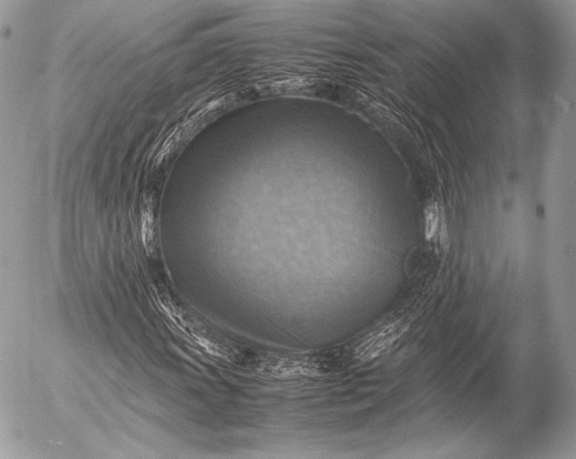 X0000053051011200507251417