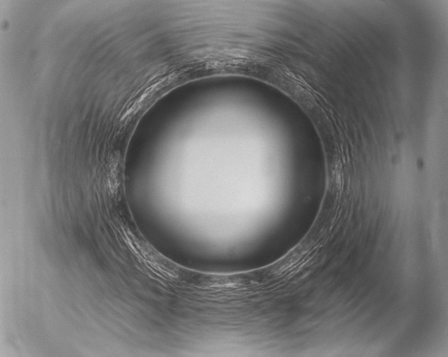 X0000053051012200507251417