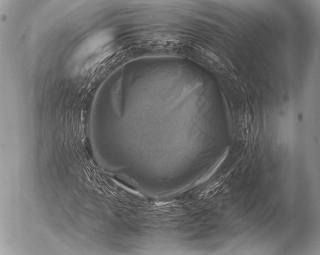 X0000053051013200507251417