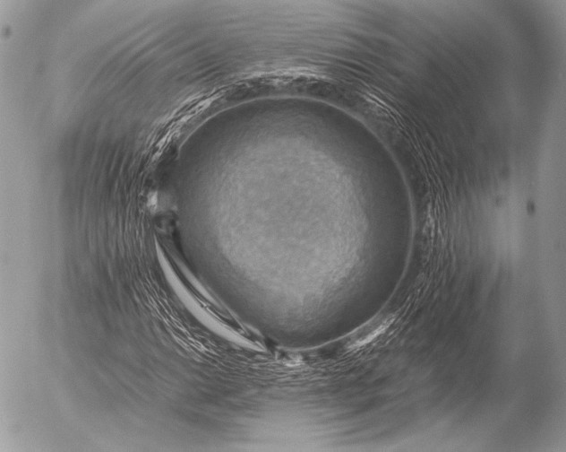 X0000053051014200507251417