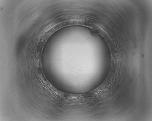 X0000053051015200507251417