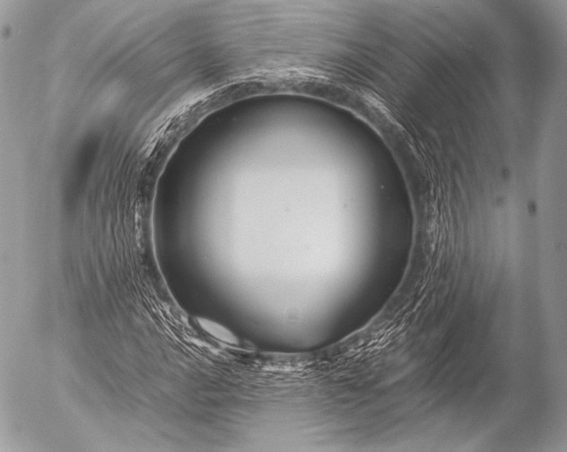 X0000053051016200507251417