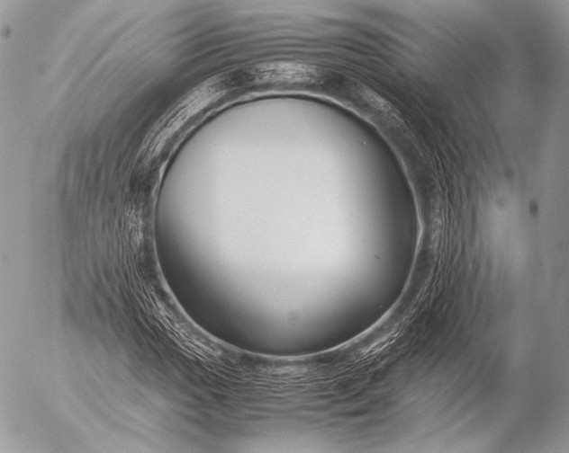 X0000053051017200507251417