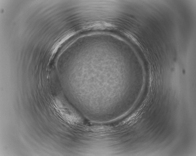 X0000053051018200507251417