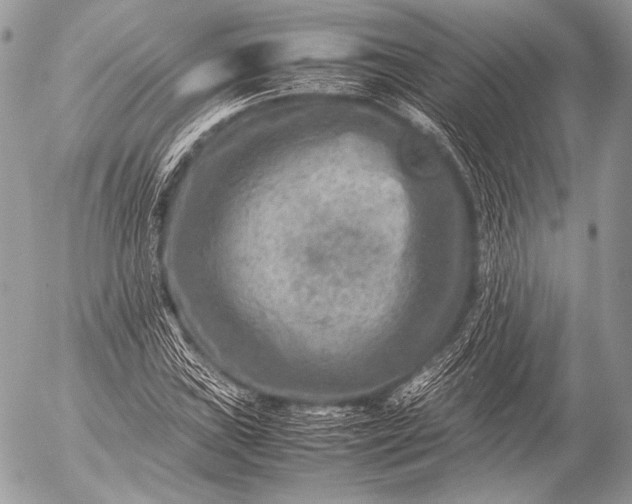 X0000053051019200507251417