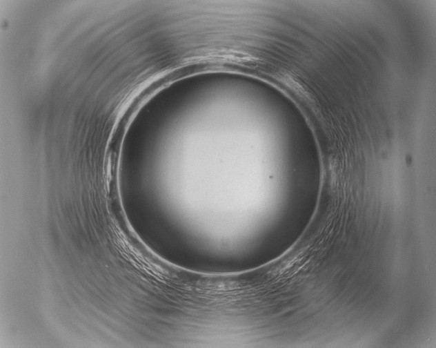 X0000053051020200507251417