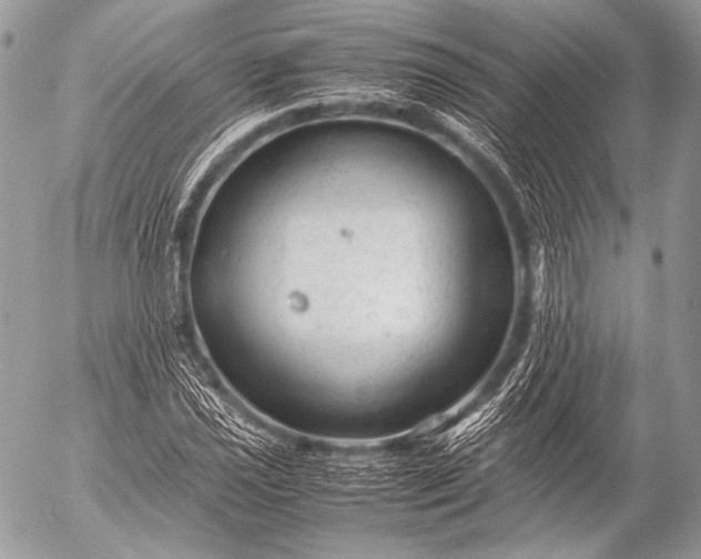 X0000053051021200507251417