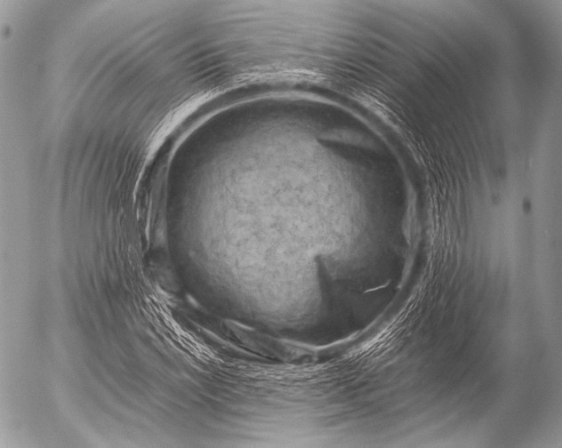 X0000053051022200507251417