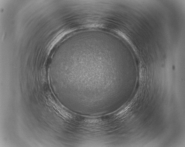 X0000053051023200507251417