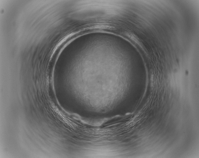 X0000053051024200507251417