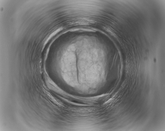 X0000053051026200507251417