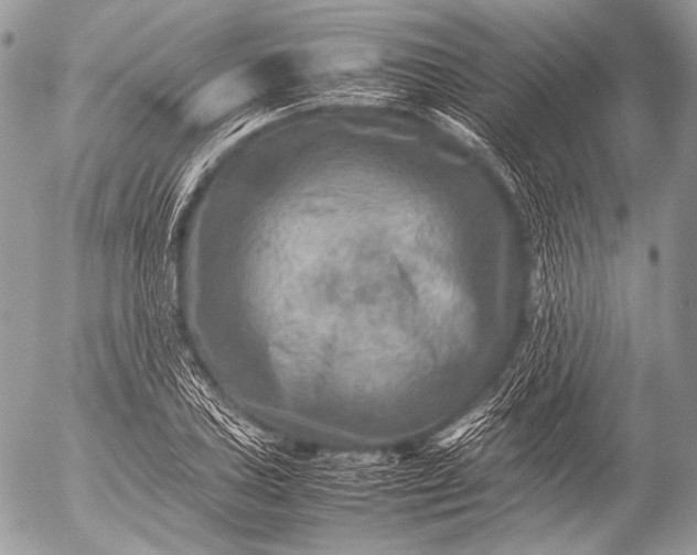 X0000053051027200507251417