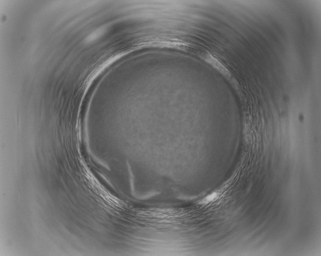 X0000053051028200507251417