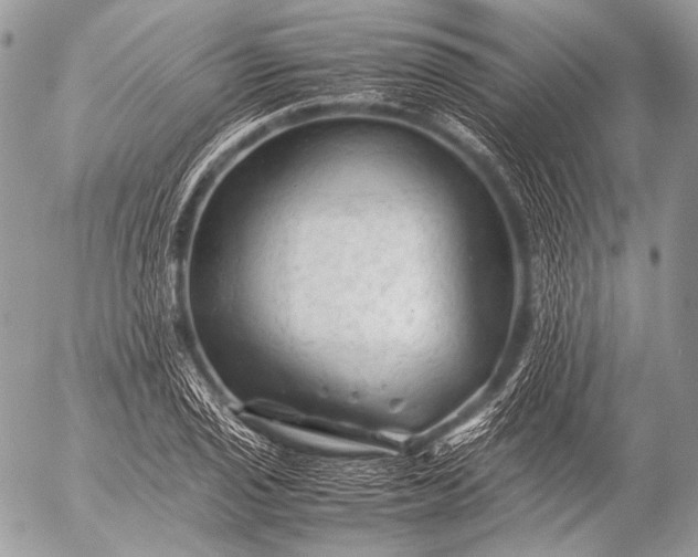 X0000053051029200507251417