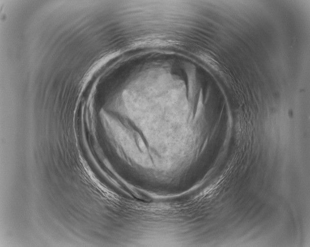 X0000053051030200507251418