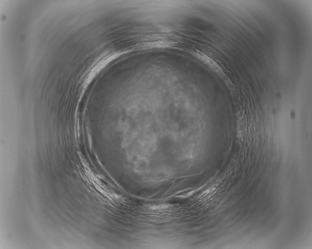 X0000053051031200507251418