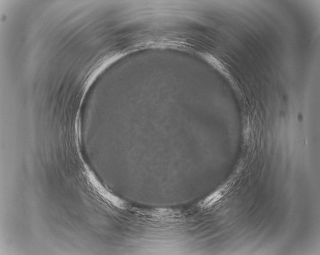 X0000053051032200507251418