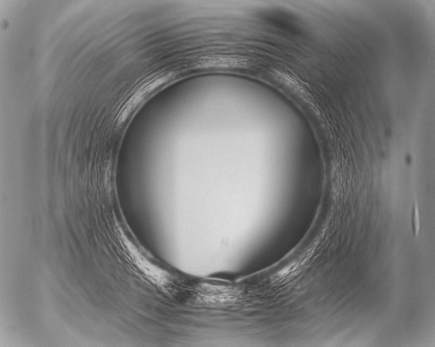 X0000053051033200507251418