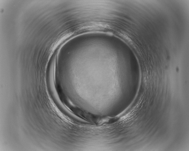 X0000053051034200507251418