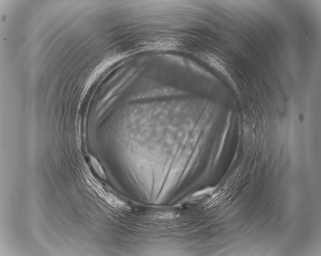 X0000053051035200507251418