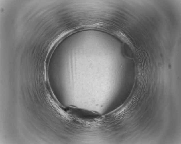 X0000053051036200507251418