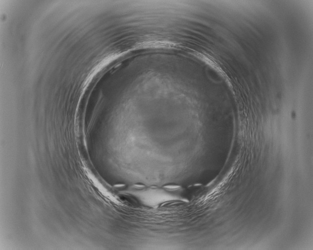 X0000053051037200507251418