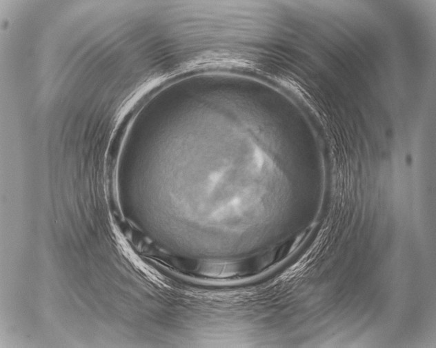 X0000053051038200507251418