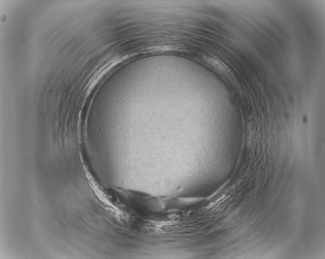 X0000053051039200507251418